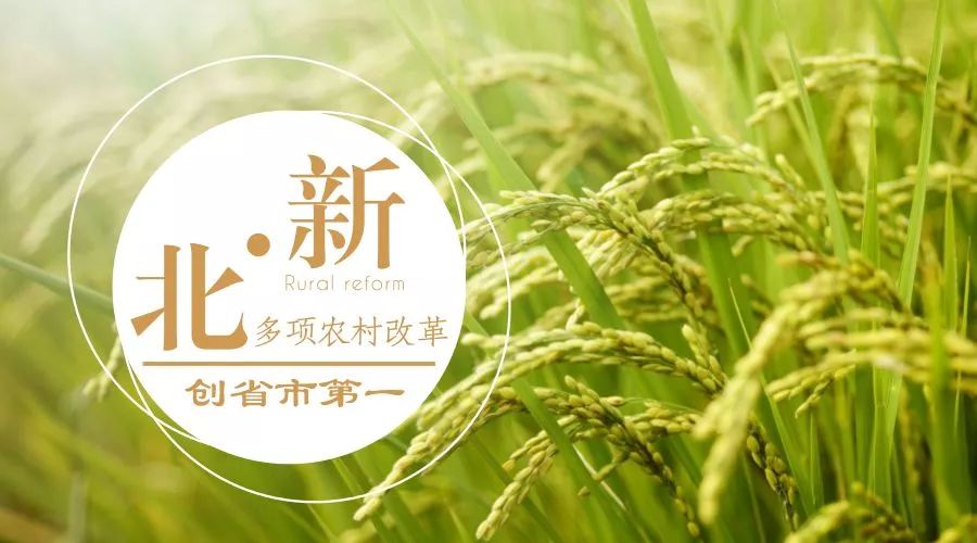 常州职业教育高质量,常州职业教育