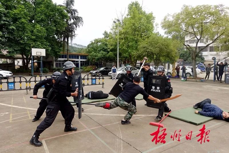 政府采购实现降本增效,规范和加强政府采购管理工作汇报