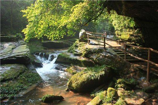 雅康高速雅泸段二郎山隧道群,雅康高速要经过川藏第一桥吗