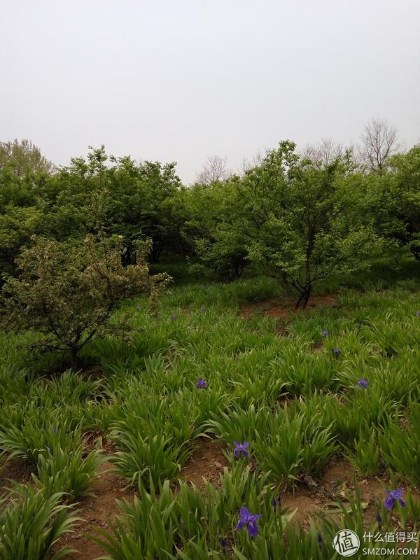 如何评价小米刚发布的红米note3,小米红米备用机推荐300以下