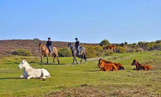 在英国，只是买买买怎么能够！