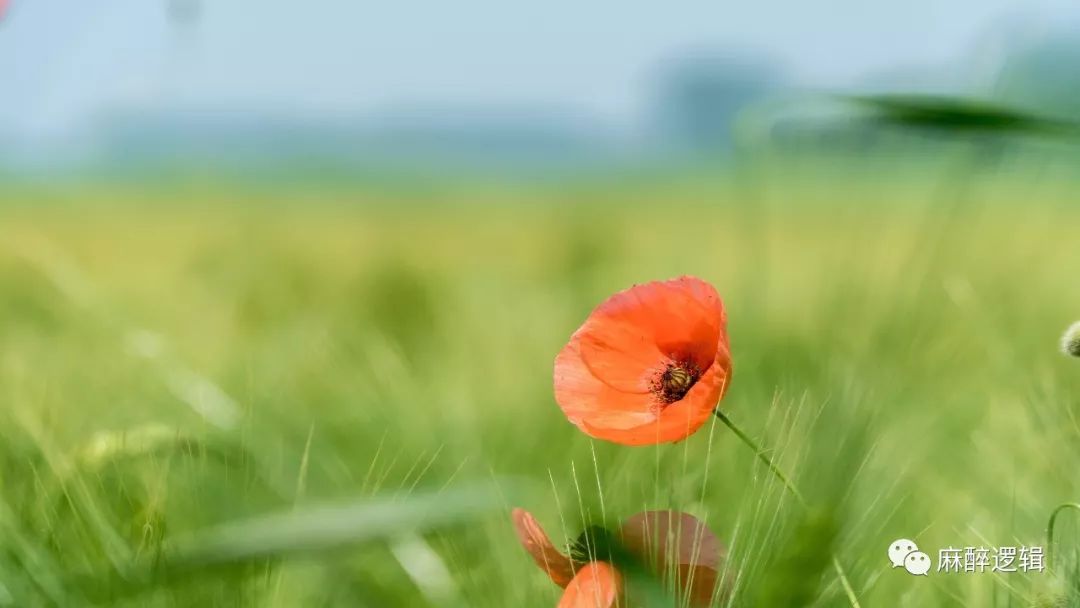 酸中毒时什么时候补碱,酸中毒补碱