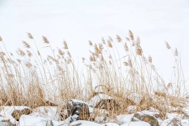 银川冬日风景,冬天银川必去的五大景点