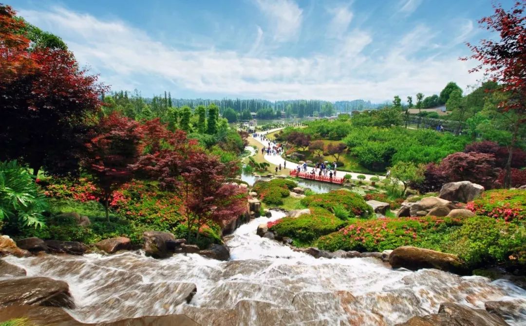 一个酸奶厂的利润有多大,一个酸奶小工厂