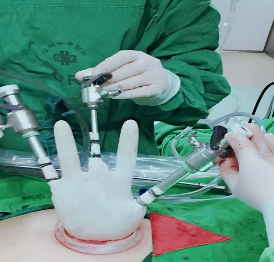 女*福性**利︱深圳市中医院妇科专家再添佳音