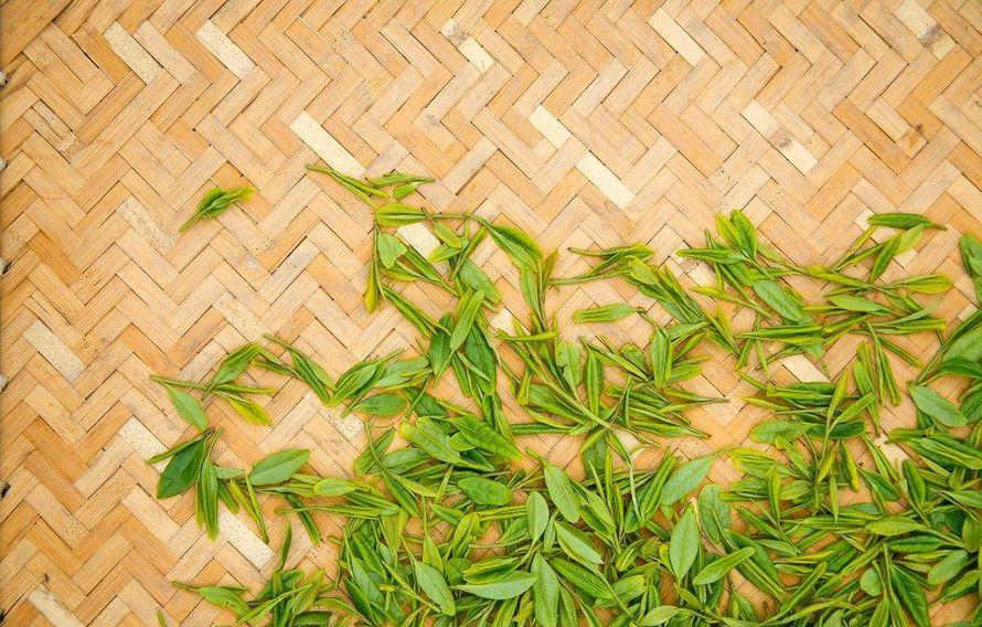 为什么茶叶电商这么难做,茶叶电商集群式发展路径