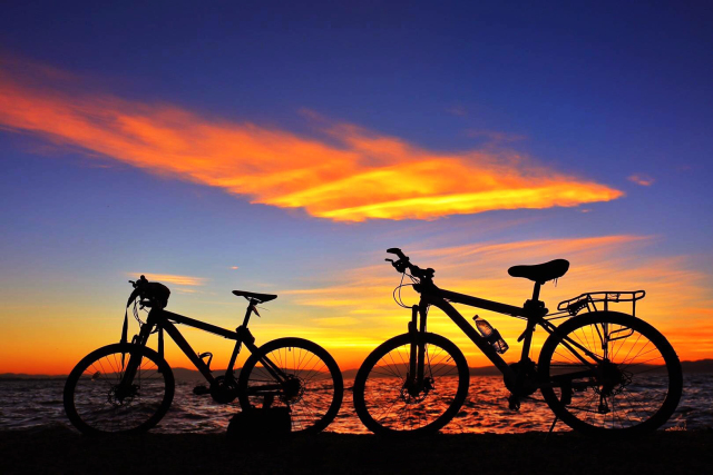 春城秀红嘴鸥图片,春城冬日美景