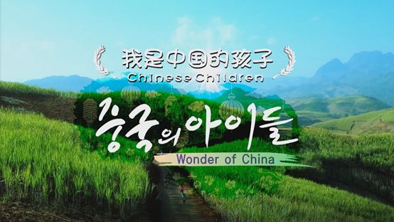 口碑炸裂豆瓣9.8分吹爆这部纪录片,豆瓣评分9.8最高的纪录片中国