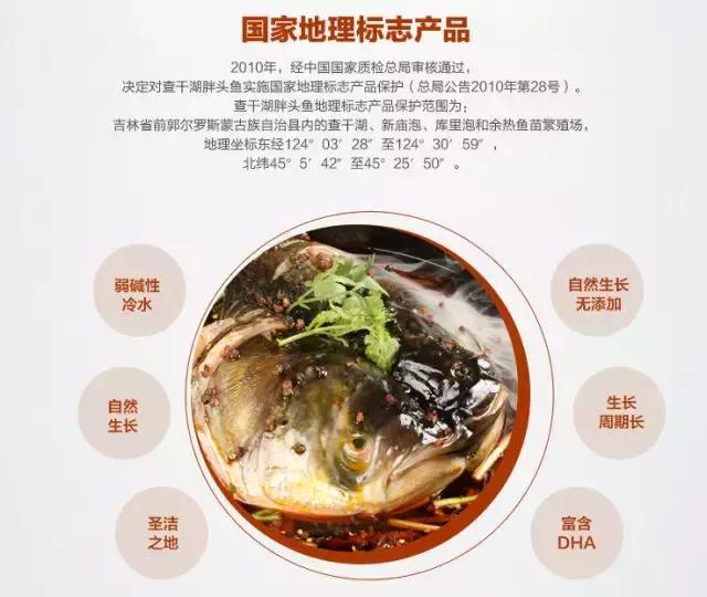 查干湖胖头鱼哪家最正宗,查干湖胖头鱼56斤抖音团购