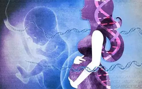 基因检测—从交友到生娃的遗传学应用