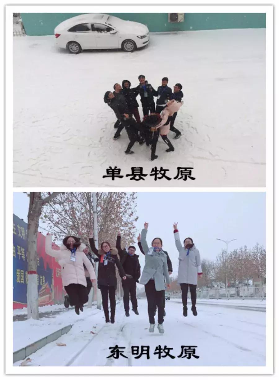 雪中美景雪景,雪中银装素裹美如画