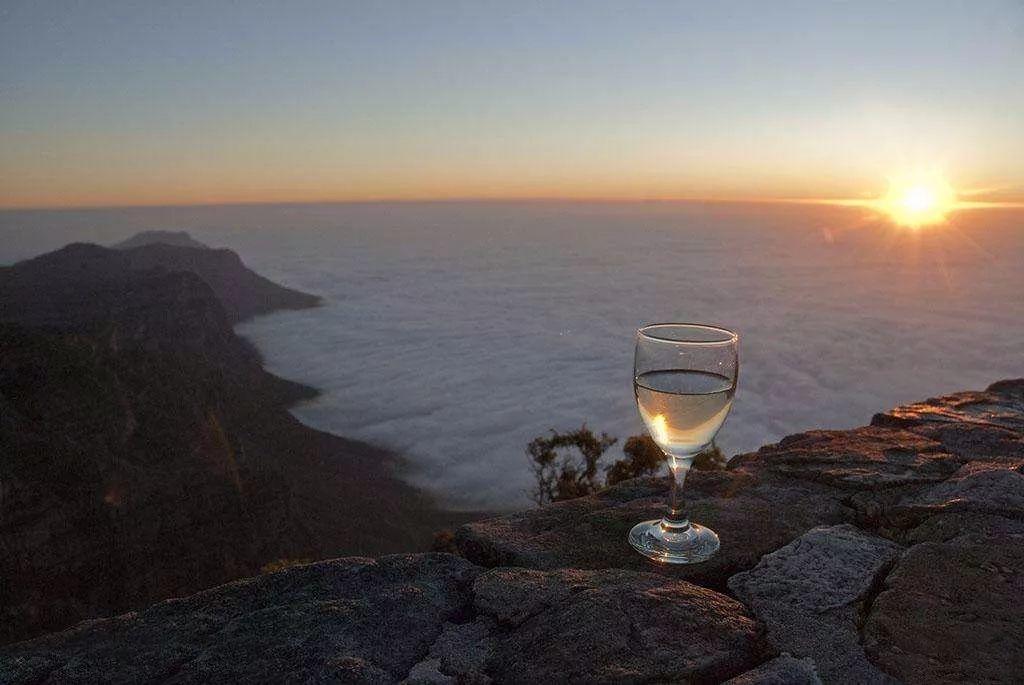 南非线路攻略｜与鲨共舞、沙漠开花、隔海观鲸，你了解非洲吗？