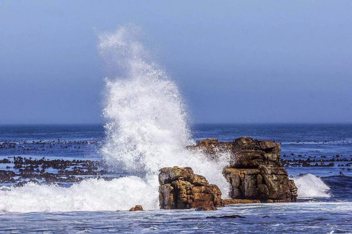南非线路攻略｜与鲨共舞、沙漠开花、隔海观鲸，你了解非洲吗？