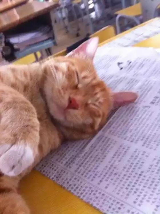 怀念莲塘一中,校园生活莲塘一中