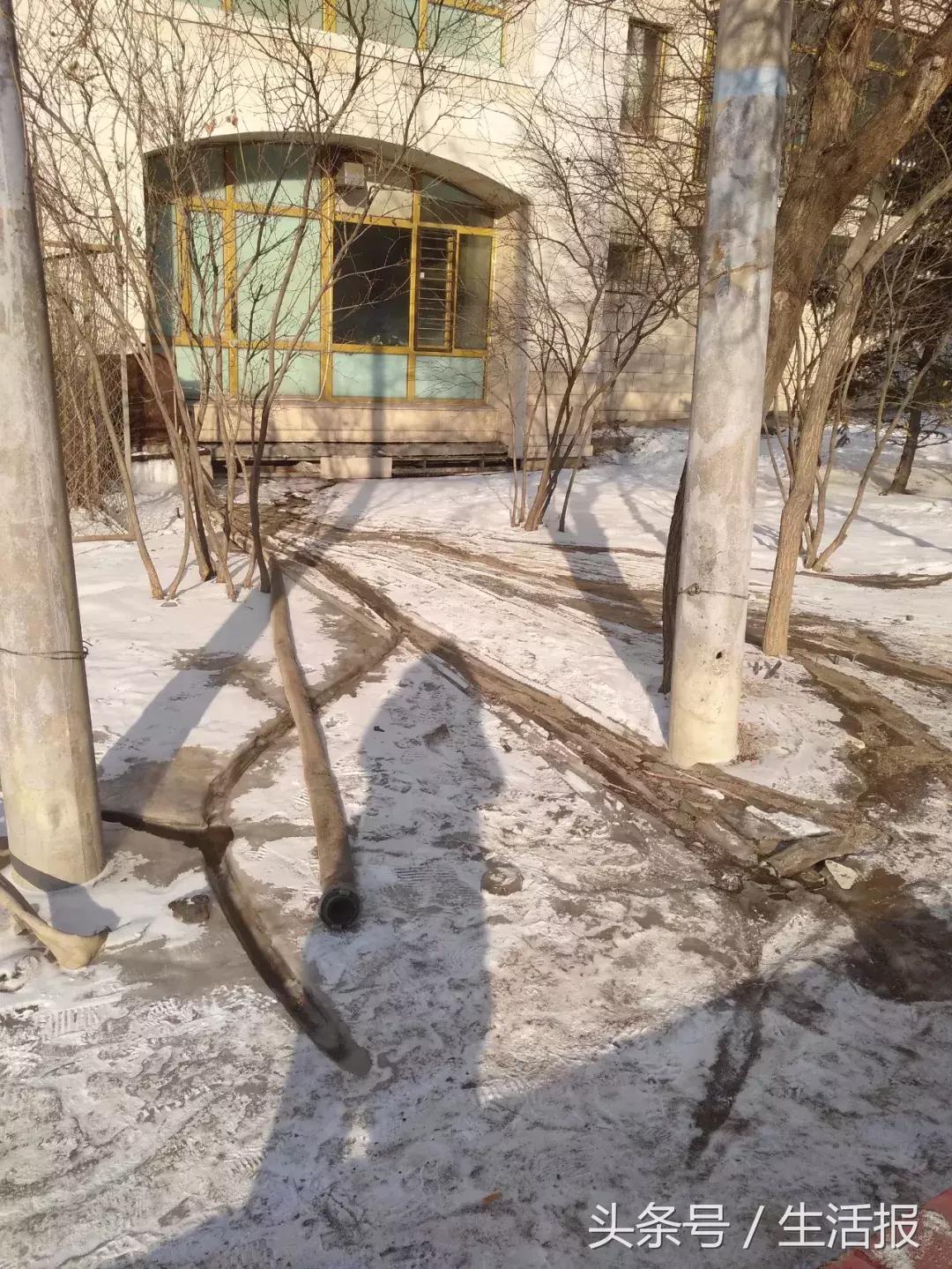 哈尔滨国际冰雪节启幕直播,哈尔滨国际冰雪节开幕式直播