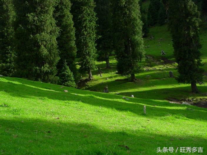 乌孙古道徒步注意事项和技巧,乌孙古道徒步穿什么衣服八月