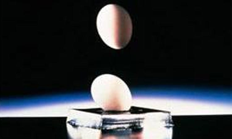 极致轻薄透气跑鞋,亚瑟士跑鞋稳定和缓震区别