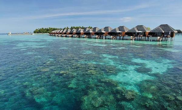 马尔代夫人少,马尔代夫人少的季节