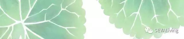 1000块买不到LV，却能让你拥有无尽之美？！