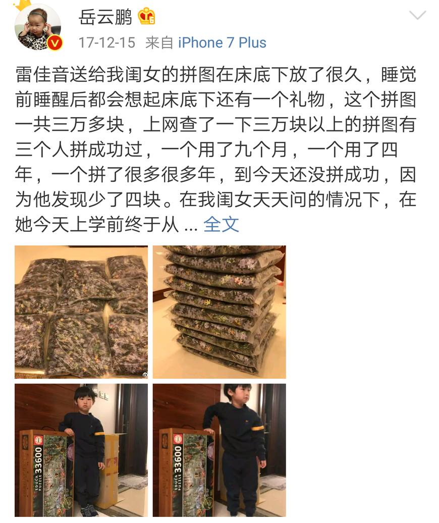 雷佳音送岳云鹏女儿5米拼图,雷佳音送岳云鹏女儿的拼图叫什么