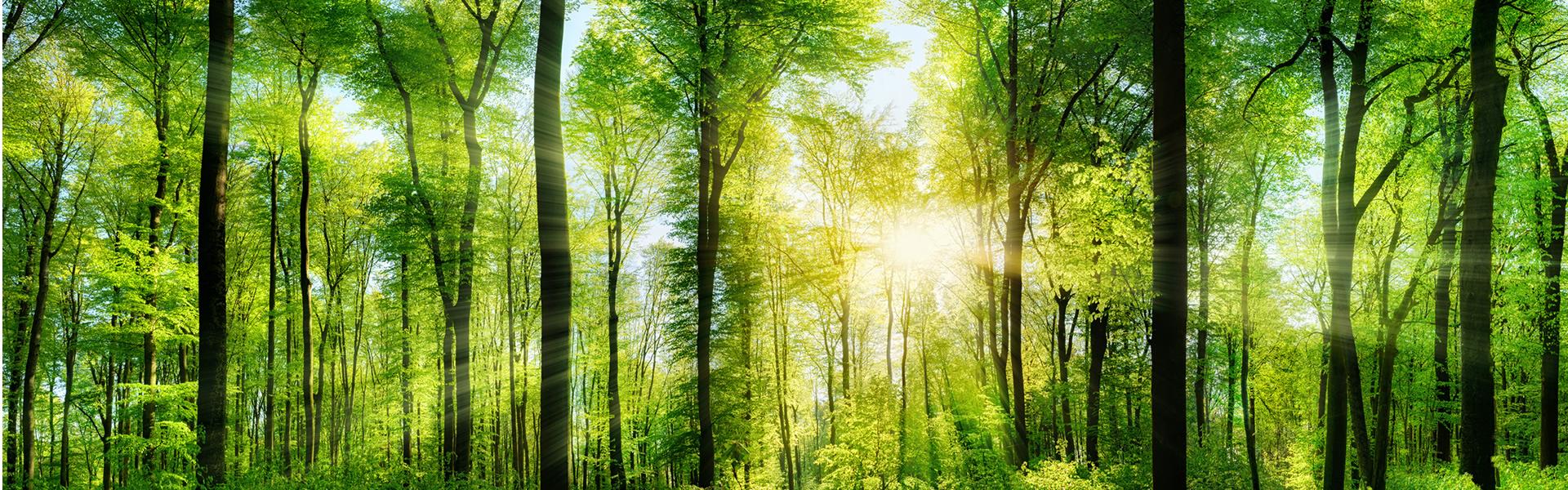 自然养生旅游,旅行是最好的养生之道