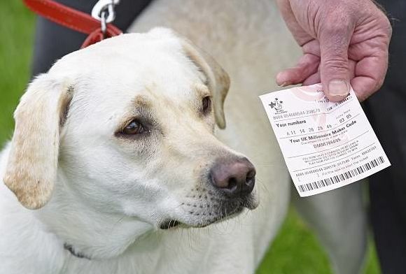 生肖狗21号运程图表图片,生肖狗什么时候赚大钱