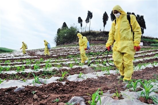 农药无人机施药视频教学,农药中等容量施药量范围是多少