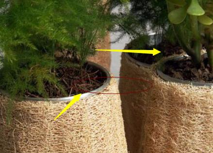 买木材自己做家具可以吗,如何自己买板材做家具