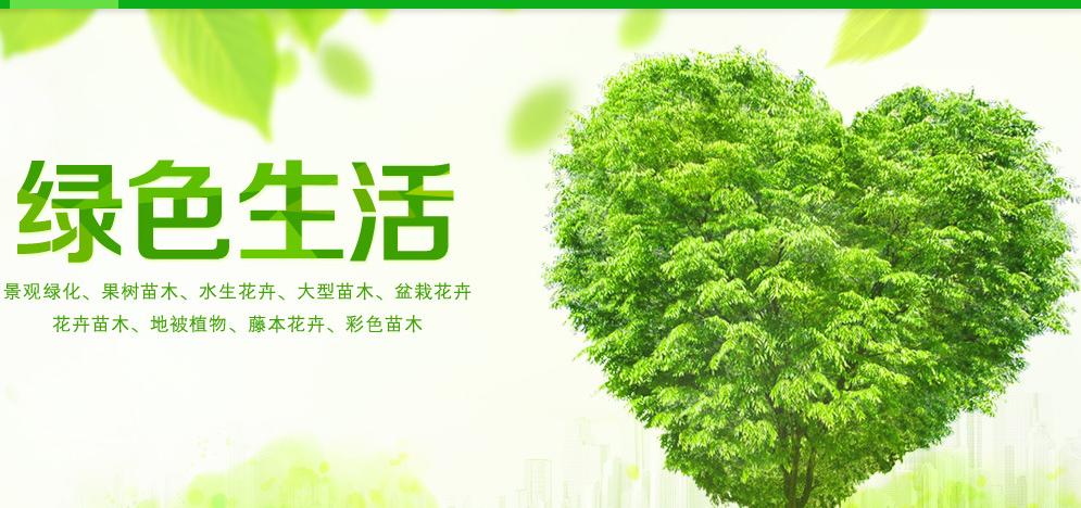 海南苗木网,海南花卉苗木