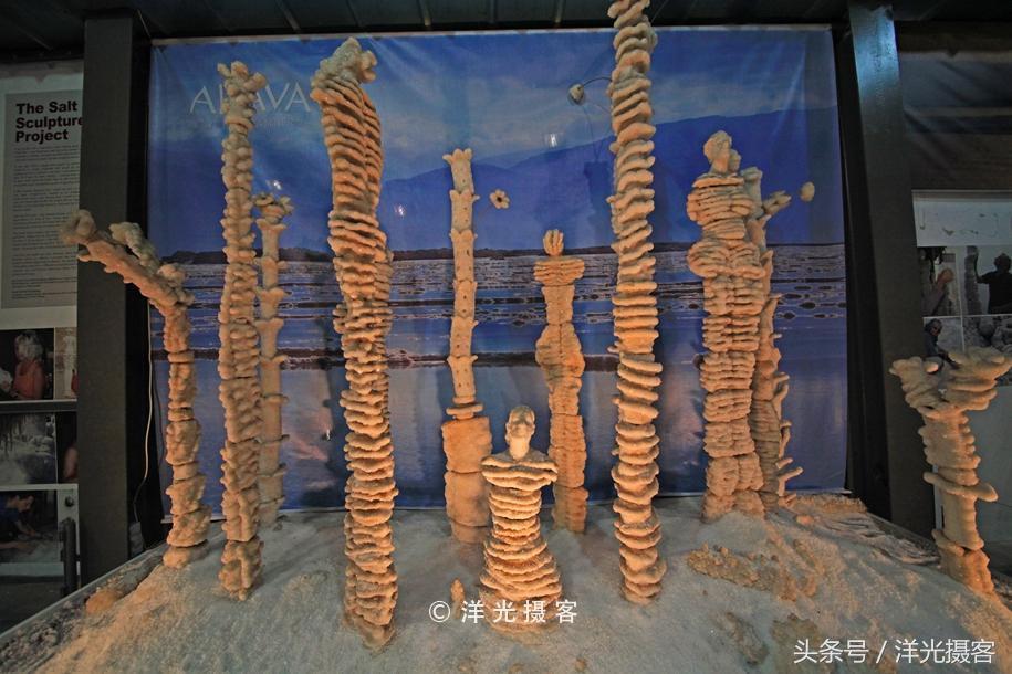 不会游泳的小明腰腹力量,不会游泳的小明学游泳