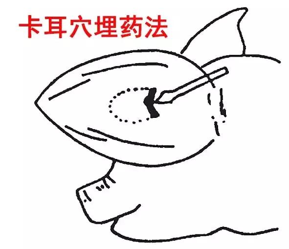 穴位治病大全20招,穴位疗法十大手法