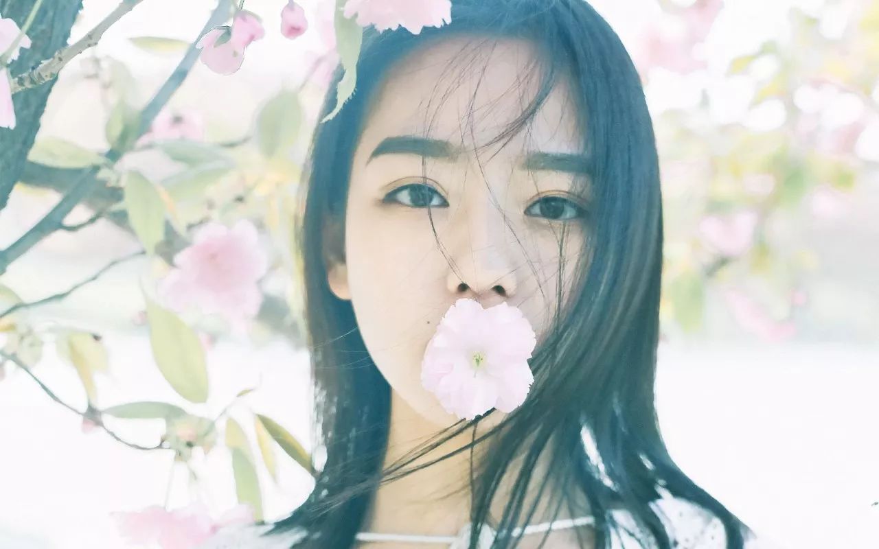 这些美到哭的腮红，居然这么便宜？