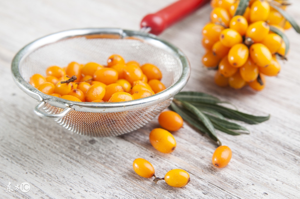 沙棘全身都是宝哪里营养素更全,沙棘的十大优点