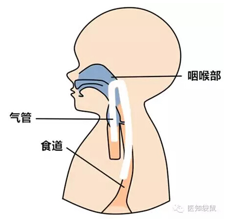 婴儿呛奶急救,婴儿从鼻子和嘴里吐奶怎么回事