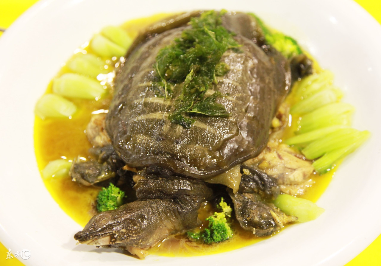 肾盂癌晚期食欲不佳怎么调理