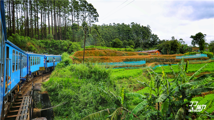 在斯里兰卡的视频,斯里兰卡火车美景