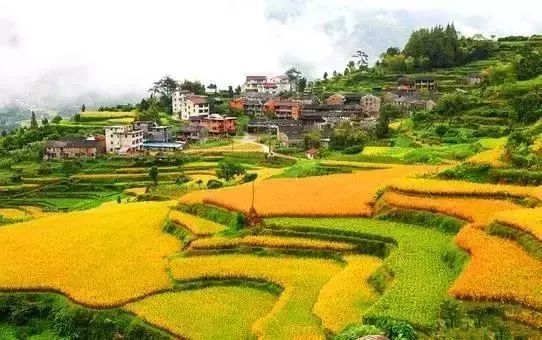 2018年浙江地方景点旅游日历大合集！含杭州，建德，温州，金华！