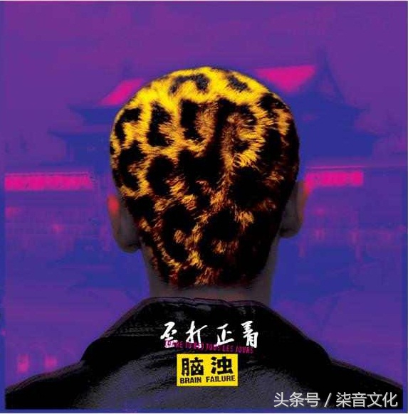 高宇峰贝斯怎么样,高宇峰贝斯电子摇滚