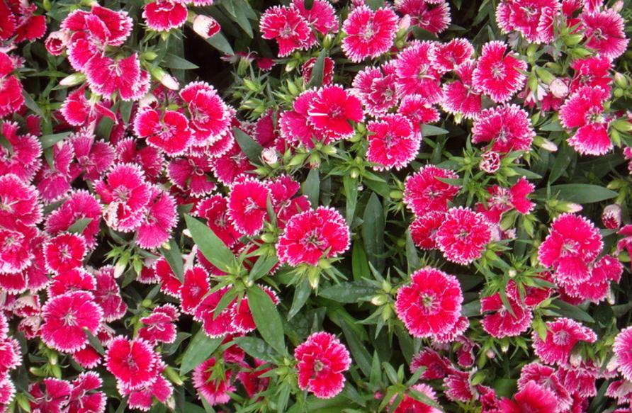 当你的人生陷入绝望,当你的人生遇到困境的时候