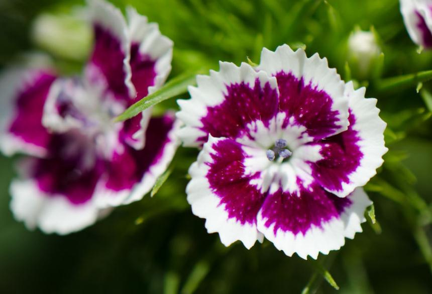 当你的人生陷入绝望,当你人生陷入困局