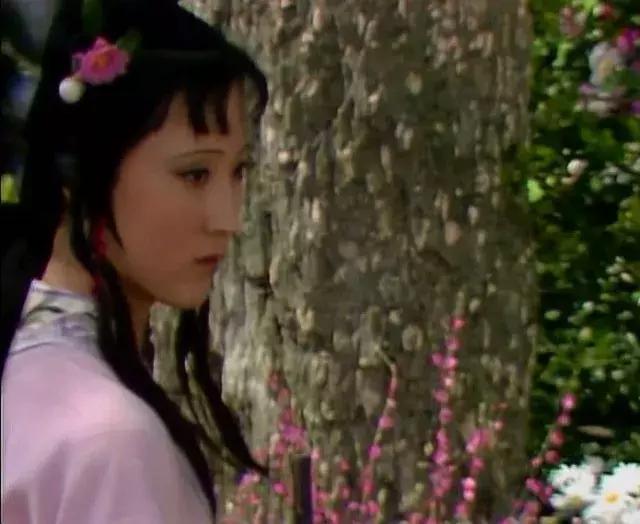 三生路上牡丹亭，灵河岸边红楼梦——《牡丹》之愉与《红楼》之悲