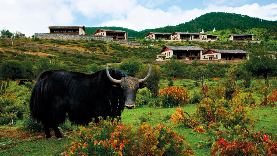 普吉岛悦榕庄度假酒店,悦榕庄度假村住宿