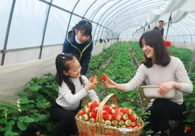 2018年浙江地方景点旅游日历大合集!含杭州,建德,温州,金华!