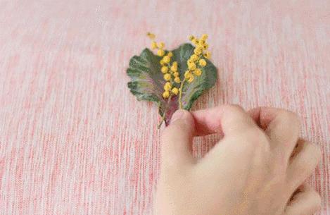 鲜花混搭插花教程,家里鲜花插花教程新手入门