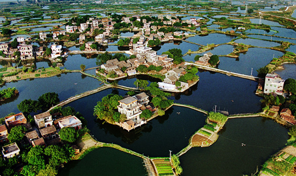 江门小鸟的天堂旅游攻略,江门小鸟天堂附近免费游玩的地方