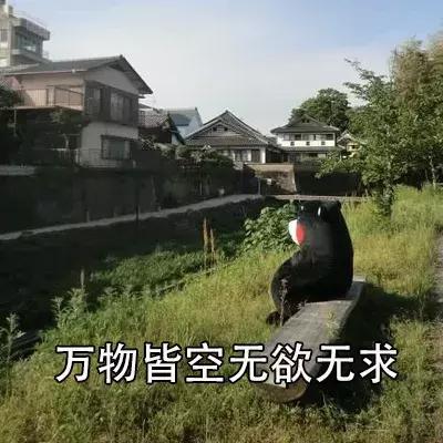 信佛学佛生活感悟,90后信佛人