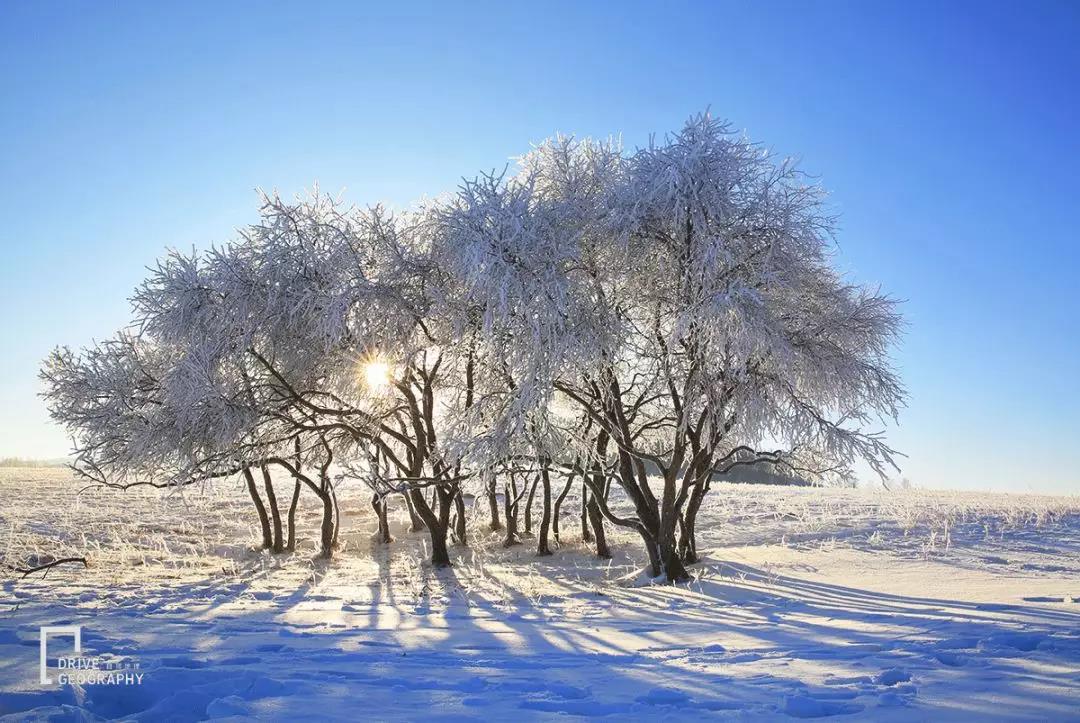 雪乡现在还坑人吗2017,东北雪乡雪上游玩