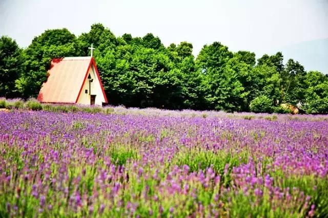 2018年浙江地方景点旅游日历大合集！含杭州，建德，温州，金华！
