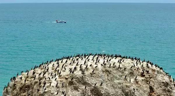 塞班岛怎么玩最便宜,塞班岛必玩10个项目