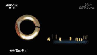 一部国产纪录片弹幕居然全是哈哈哈哈哈哈哈